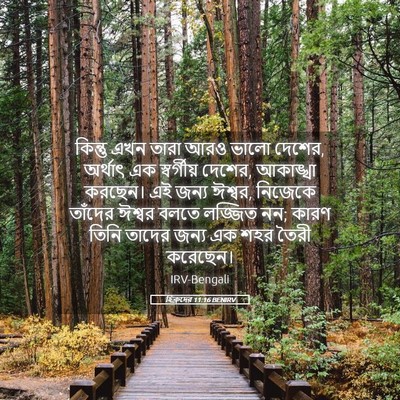 Picture 05 - হিব্রুদের 11:16 BENIRV - কিন্তু এখন তারা - Bible Verse Picture