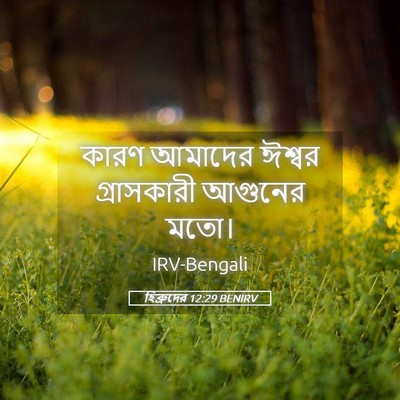 Picture 05 - হিব্রুদের 12:29 BENIRV - কারণ আমাদের ঈশ্বর - Bible Verse Picture