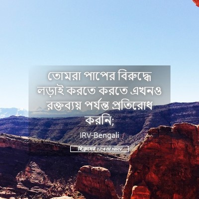 Picture 05 - হিব্রুদের 12:4 BENIRV - তোমরা পাপের - Bible Verse Picture