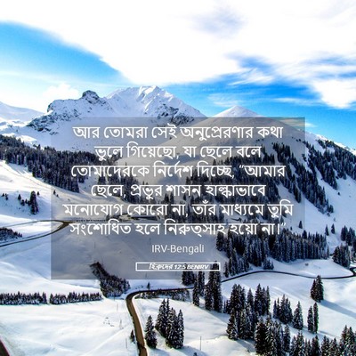 Picture 05 - হিব্রুদের 12:5 BENIRV - আর তোমরা সেই - Bible Verse Picture