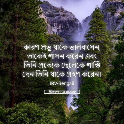 Picture 05 - হিব্রুদের 12:6 BENIRV - কারণ প্রভু যাকে - Bible Verse Picture