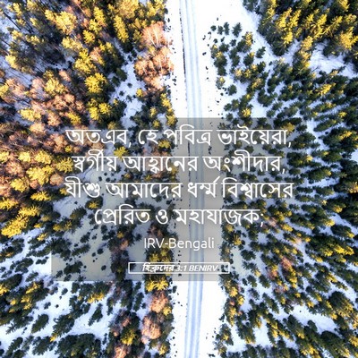 Picture 05 - হিব্রুদের 3:1 BENIRV - অতএব, হে পবিত্র - Bible Verse Picture