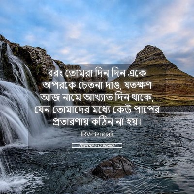 Picture 05 - হিব্রুদের 3:13 BENIRV - বরং তোমরা দিন দিন - Bible Verse Picture