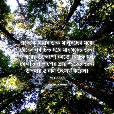 Picture 05 - হিব্রুদের 5:1 BENIRV - প্রত্যেক মহাযাজক - Bible Verse Picture