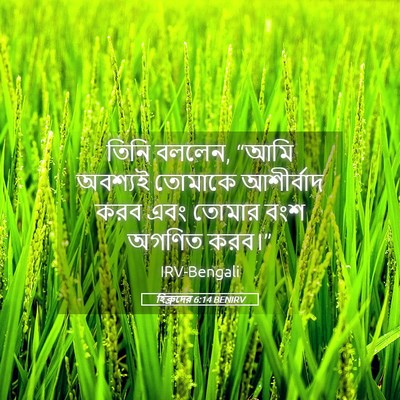Picture 05 - হিব্রুদের 6:14 BENIRV - তিনি বললেন, “আমি - Bible Verse Picture