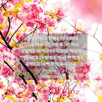 Picture 05 - হিব্রুদের 6:17 BENIRV - এই ব্যাপারে ঈশ্বর - Bible Verse Picture