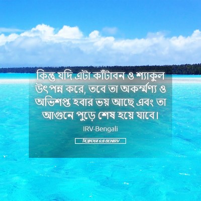 Picture 05 - হিব্রুদের 6:8 BENIRV - কিন্তু যদি এটা - Bible Verse Picture