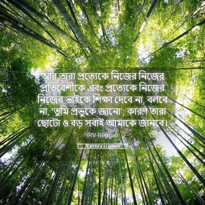 Picture 05 - হিব্রুদের 8:11 BENIRV - আর তারা প্রত্যেকে - Bible Verse Picture