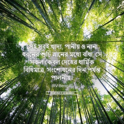 Picture 05 - হিব্রুদের 9:10 BENIRV - সেই সবই খাদ্য, - Bible Verse Picture