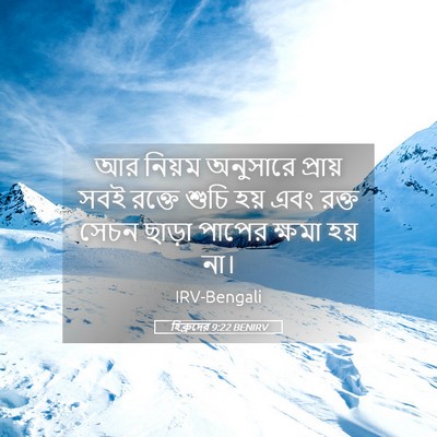 Picture 05 - হিব্রুদের 9:22 BENIRV - আর নিয়ম অনুসারে - Bible Verse Picture