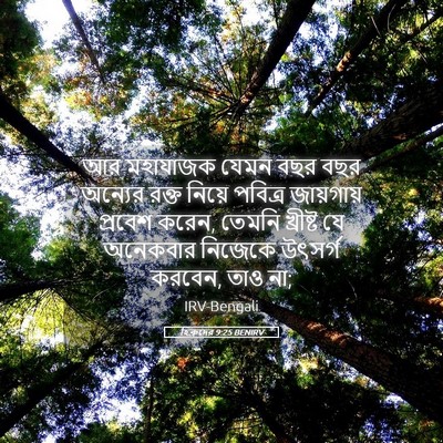Picture 05 - হিব্রুদের 9:25 BENIRV - আর মহাযাজক যেমন - Bible Verse Picture