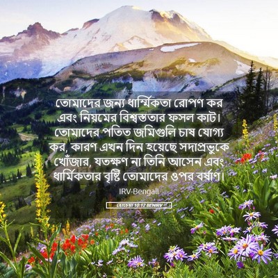 Picture 05 - হোচেয়া 10:12 BENIRV - তোমাদের জন্য - Bible Verse Picture