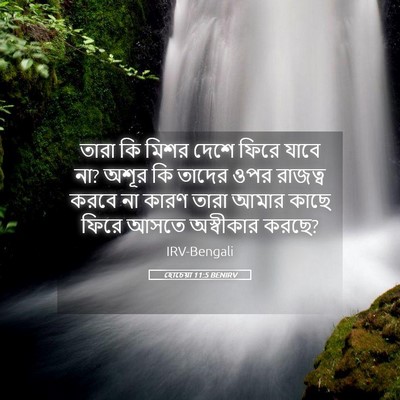 Picture 05 - হোচেয়া 11:5 BENIRV - তারা কি মিশর দেশে - Bible Verse Picture