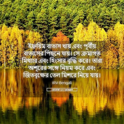 Picture 05 - হোচেয়া 12:1 BENIRV - ইফ্রয়িম বাতাস - Bible Verse Picture