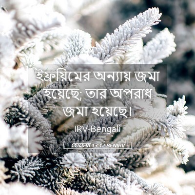 Picture 05 - হোচেয়া 13:12 BENIRV - ইফ্রয়িমের - Bible Verse Picture