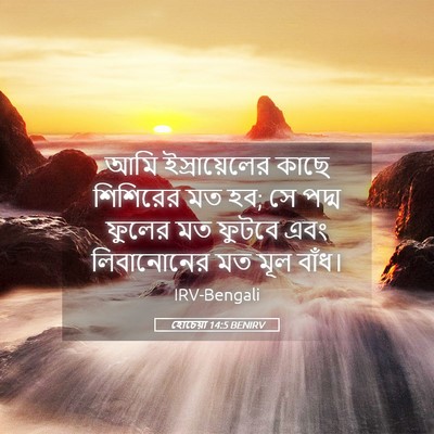 Picture 05 - হোচেয়া 14:5 BENIRV - আমি ইস্রায়েলের - Bible Verse Picture