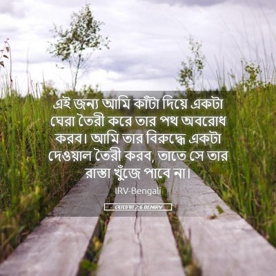 Picture 05 - হোচেয়া 2:6 BENIRV - এই জন্য আমি কাঁটা - Bible Verse Picture