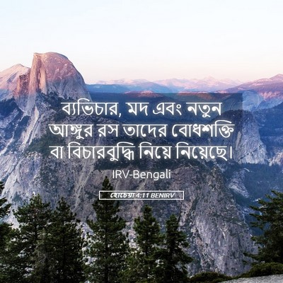 Picture 05 - হোচেয়া 4:11 BENIRV - ব্যভিচার, মদ এবং - Bible Verse Picture