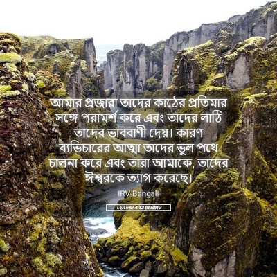 Picture 05 - হোচেয়া 4:12 BENIRV - আমার প্রজারা - Bible Verse Picture