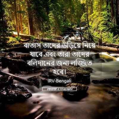 Picture 05 - হোচেয়া 4:19 BENIRV - বাতাস তাদের - Bible Verse Picture