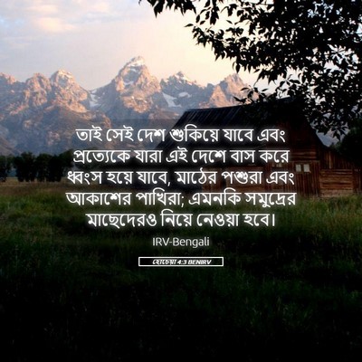 Picture 05 - হোচেয়া 4:3 BENIRV - তাই সেই দেশ - Bible Verse Picture