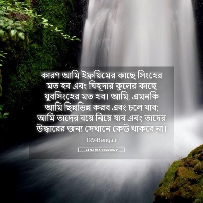 Picture 05 - হোচেয়া 5:14 BENIRV - কারণ আমি - Bible Verse Picture