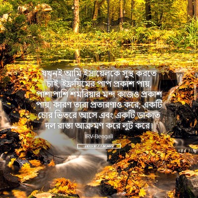 Picture 05 - হোচেয়া 7:1 BENIRV - যখনই আমি - Bible Verse Picture