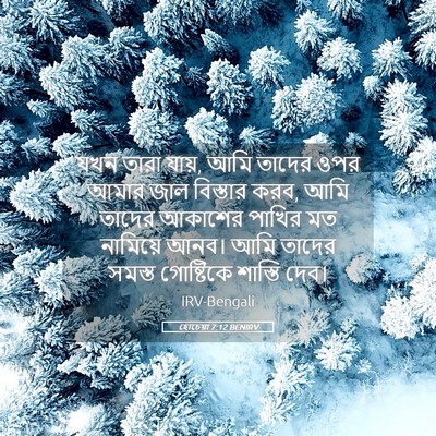 Picture 05 - হোচেয়া 7:12 BENIRV - যখন তারা যায়, আমি - Bible Verse Picture