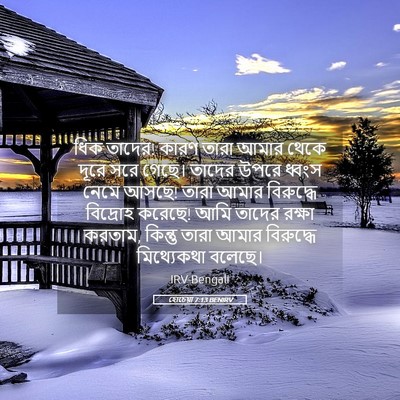 Picture 05 - হোচেয়া 7:13 BENIRV - ধিক তাদের! কারণ - Bible Verse Picture