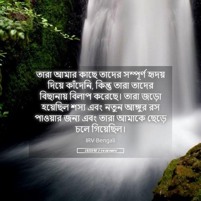 Picture 05 - হোচেয়া 7:14 BENIRV - তারা আমার কাছে - Bible Verse Picture