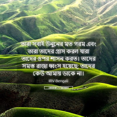 Picture 05 - হোচেয়া 7:7 BENIRV - তারা সবাই উনুনের - Bible Verse Picture