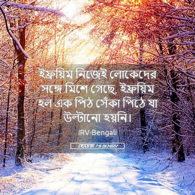 Picture 05 - হোচেয়া 7:8 BENIRV - ইফ্রয়িম নিজেই - Bible Verse Picture