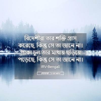 Picture 05 - হোচেয়া 7:9 BENIRV - বিদেশীরা তার - Bible Verse Picture