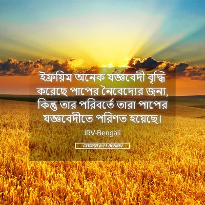 Picture 05 - হোচেয়া 8:11 BENIRV - ইফ্রয়িম অনেক - Bible Verse Picture