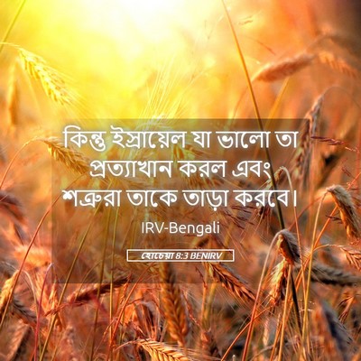 Picture 05 - হোচেয়া 8:3 BENIRV - কিন্তু ইস্রায়েল - Bible Verse Picture
