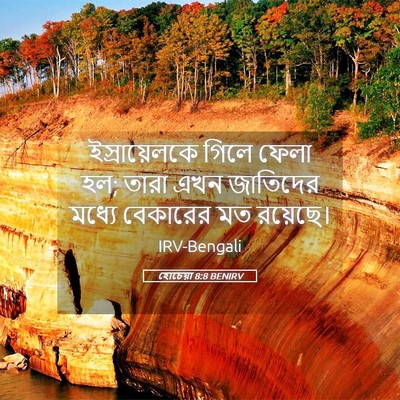 Picture 05 - হোচেয়া 8:8 BENIRV - ইস্রায়েলকে গিলে - Bible Verse Picture