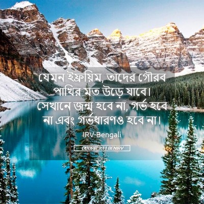 Picture 05 - হোচেয়া 9:11 BENIRV - যেমন ইফ্রয়িম, - Bible Verse Picture