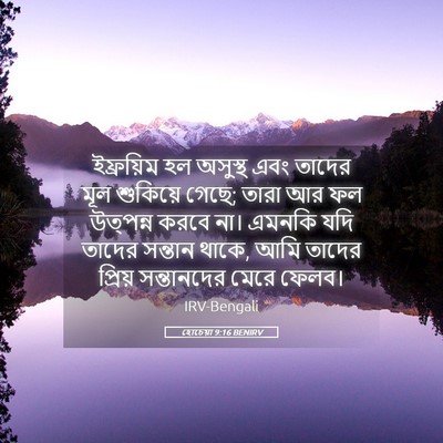 Picture 05 - হোচেয়া 9:16 BENIRV - ইফ্রয়িম হল - Bible Verse Picture