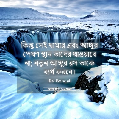 Picture 05 - হোচেয়া 9:2 BENIRV - কিন্তু সেই খামার - Bible Verse Picture