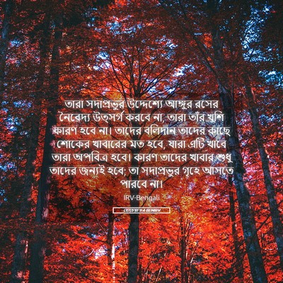 Picture 05 - হোচেয়া 9:4 BENIRV - তারা সদাপ্রভুর - Bible Verse Picture