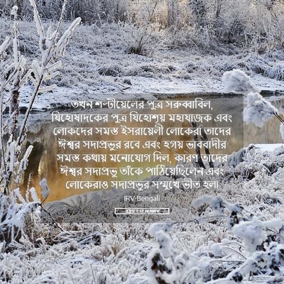Picture 05 - হ্গ্গয় 1:12 BENIRV - তখন শল্টীয়েলের - Bible Verse Picture