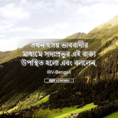 Picture 05 - হ্গ্গয় 1:3 BENIRV - তখন হগয় ভাববাদীর - Bible Verse Picture