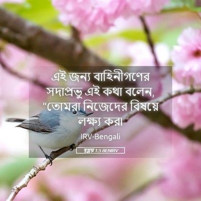 Picture 05 - হ্গ্গয় 1:5 BENIRV - এই জন্য - Bible Verse Picture