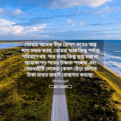 Picture 05 - হ্গ্গয় 1:6 BENIRV - তোমরা অনেক বীজ - Bible Verse Picture
