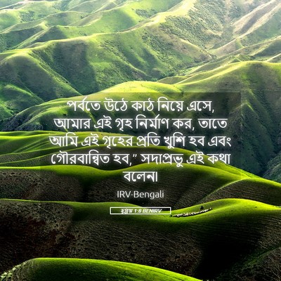 Picture 05 - হ্গ্গয় 1:8 BENIRV - পর্বতে উঠে কাঠ - Bible Verse Picture