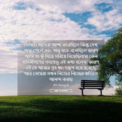 Picture 05 - হ্গ্গয় 1:9 BENIRV - তোমরা অনেক আশা - Bible Verse Picture