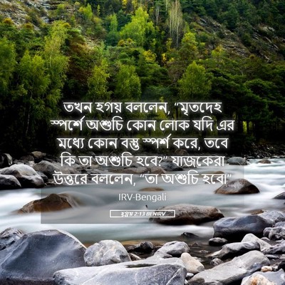 Picture 05 - হ্গ্গয় 2:13 BENIRV - তখন হগয় বললেন, - Bible Verse Picture