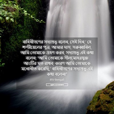 Picture 05 - হ্গ্গয় 2:23 BENIRV - বাহিনীগণের - Bible Verse Picture