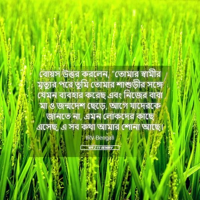 Picture 05 - ৰূথ 2:11 BENIRV - বোয়স উত্তর করলেন, - Bible Verse Picture