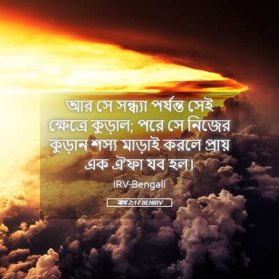 Picture 05 - ৰূথ 2:17 BENIRV - আর সে সন্ধ্যা - Bible Verse Picture